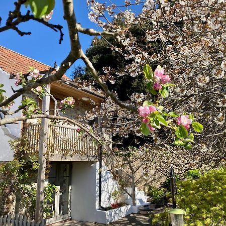 Westbury Cross House Bed & Breakfast Westbury-sub-Mendip Exterior foto